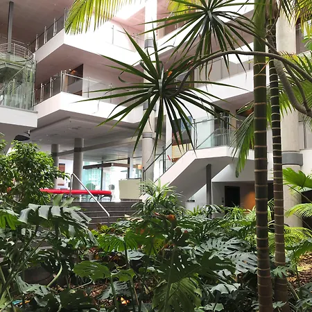 酒店 埃尔切港酒店